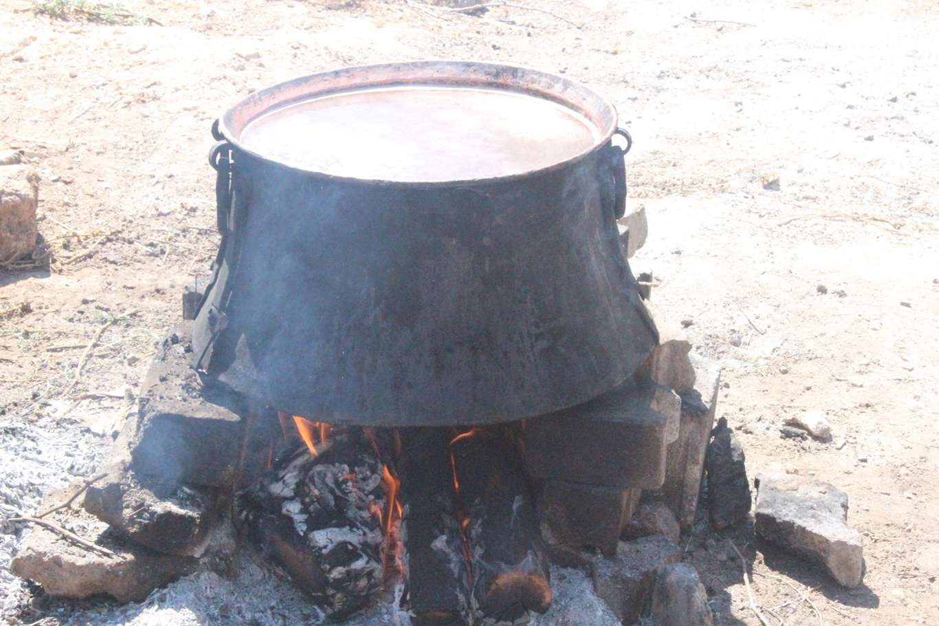 Üzümün pekmez ve pestil olma yolculuğu başladı